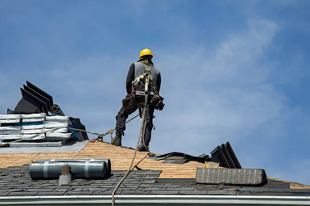 Professional Storm Damage Roof Repair technician working in Linn, MO